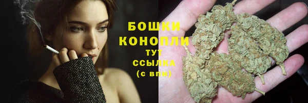 мяу мяу мука Корсаков