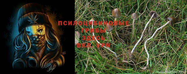 прущий лед Коряжма