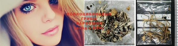 мяу мяу мука Корсаков