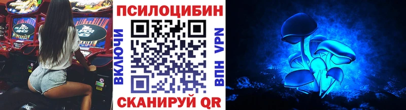 цены   Цоци-Юрт  Галлюциногенные грибы MAGIC MUSHROOMS 